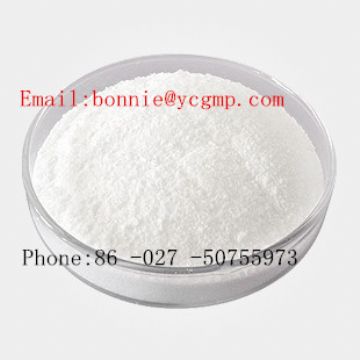 Daucus Carota Extract  With Good Quality